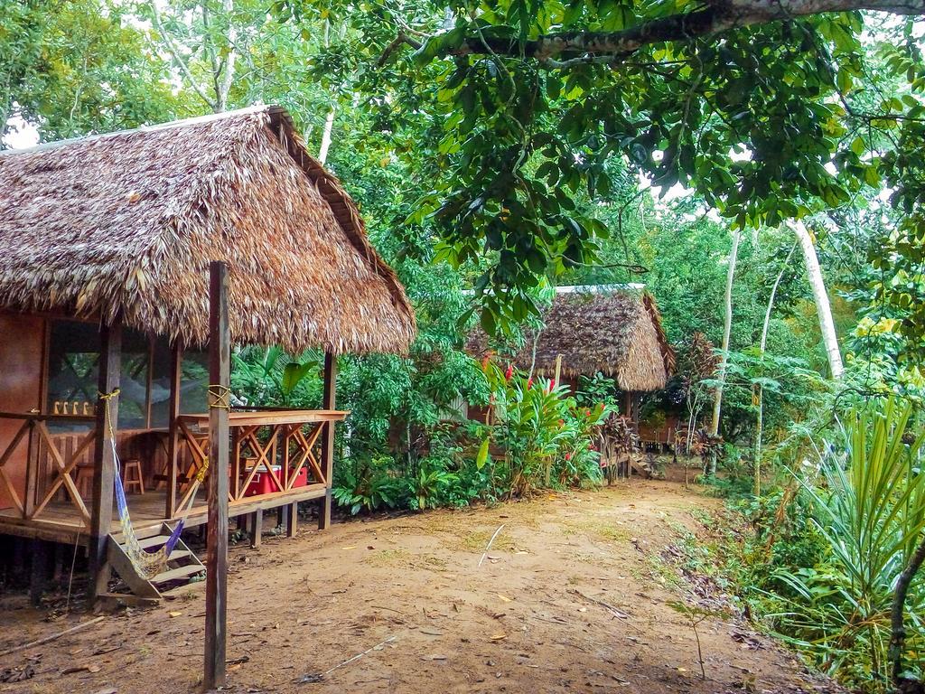 Tambopata River Puerto Maldonado Exteriör bild